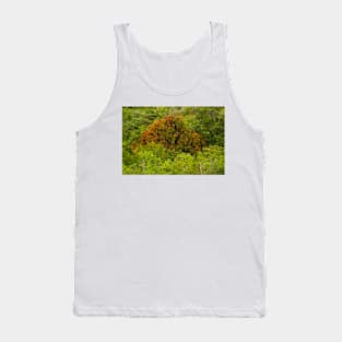 bllc mango in the jungle Tank Top